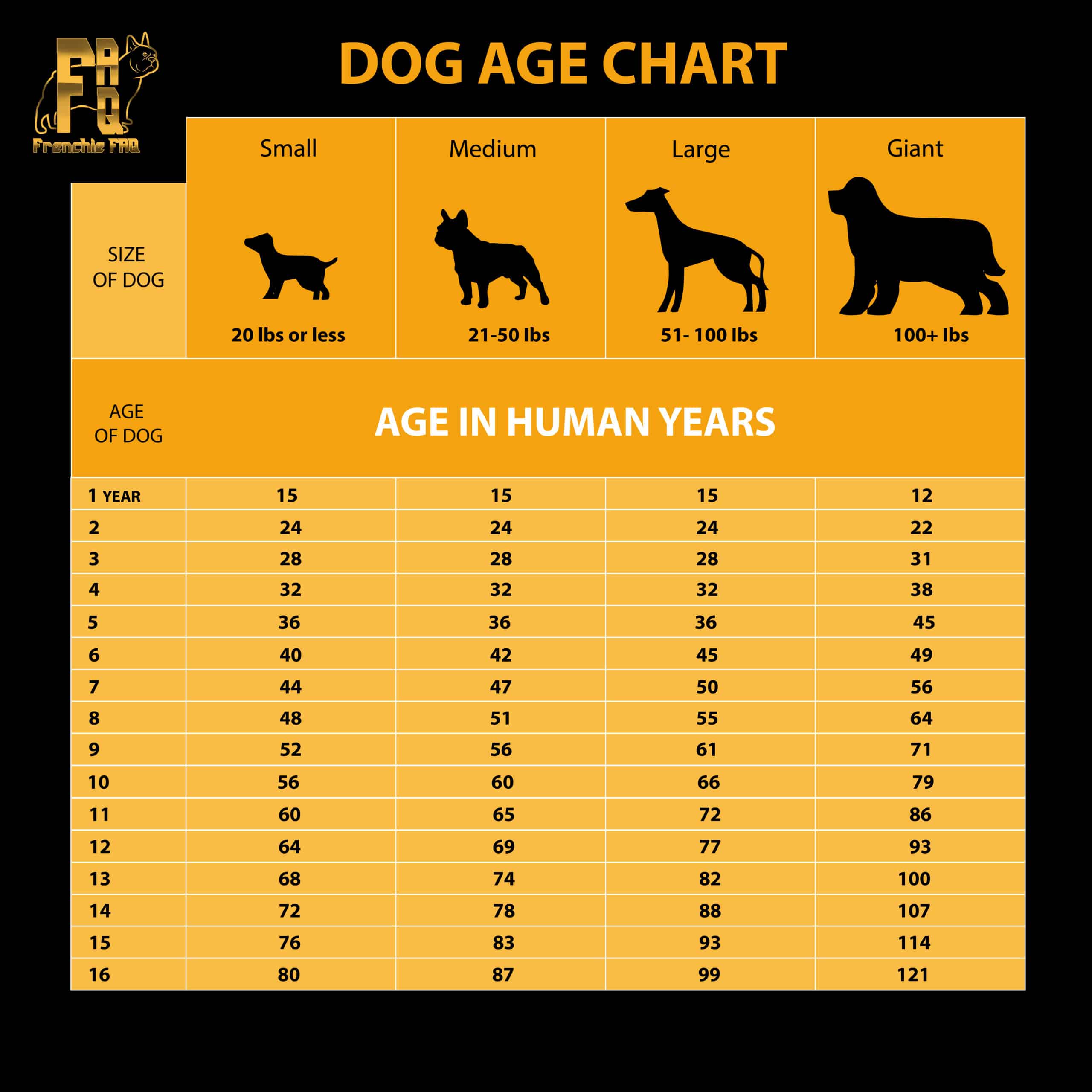 Dog age chart dog years to human years. French Bulldog age chart