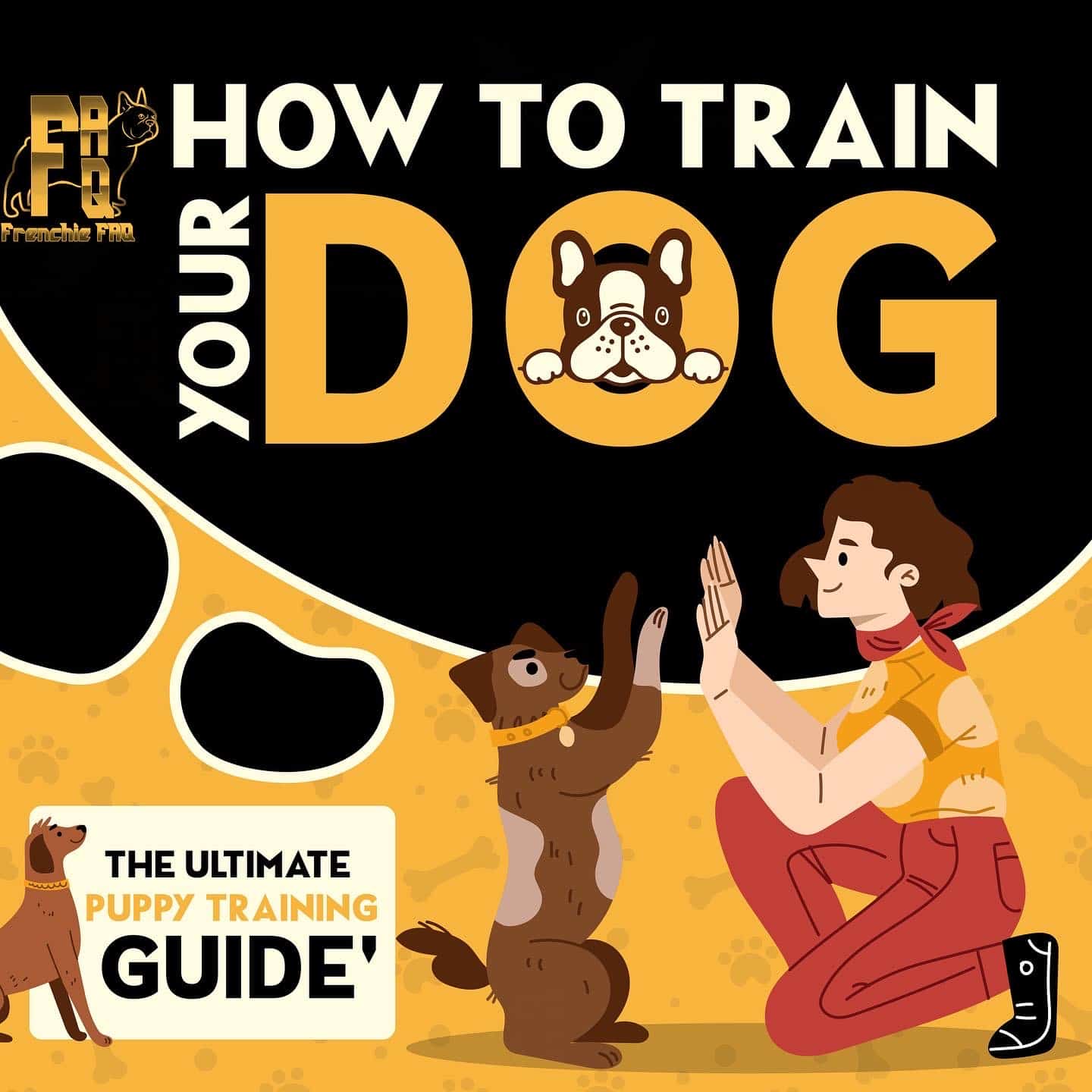 How to Train Your Dog: The Ultimate Dog Training Guide