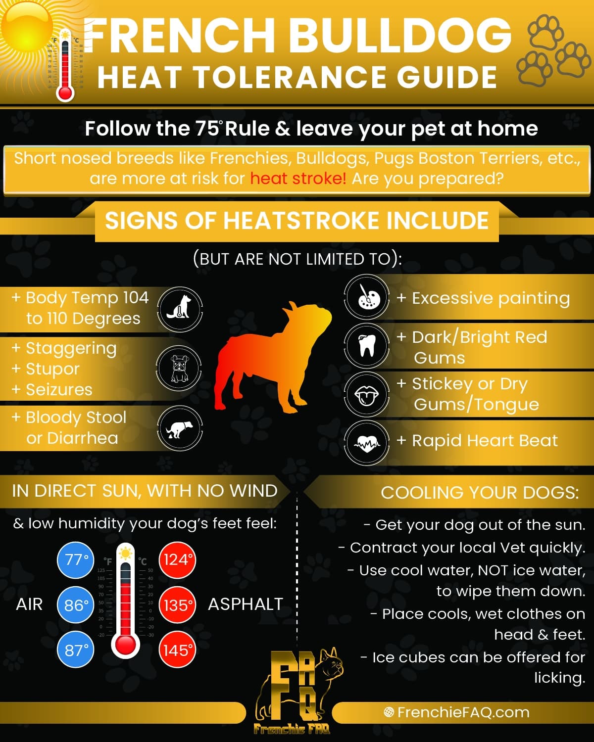 french bulldog signs of heat stroke and overheating